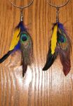Peacock Feather Clippy Bits Too